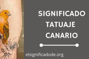 Significado Tatuaje Canario