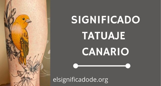 Qué significa tatuaje de canario