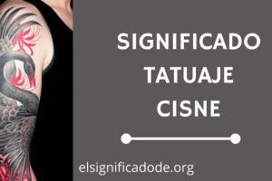 Significado Tatuaje Cisne