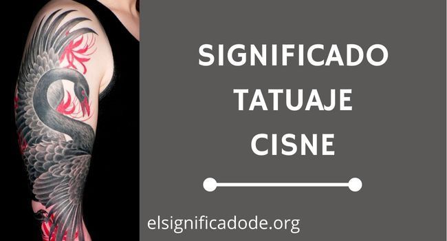 Qué significa un tatuaje de cisne