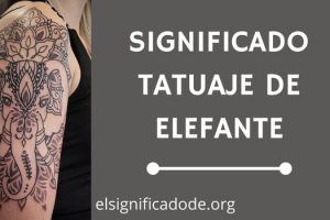 Significado Tatuaje Elefante