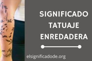 Significado Tatuaje Enredadera