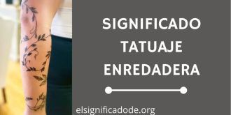 Significado Tatuaje Enredadera