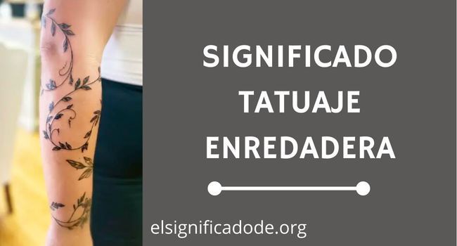 Que significa un tatuaje de enredadera
