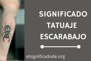 Significado Tatuaje Escarabajo