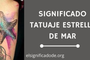 Significado Tatuaje Estrella de Mar