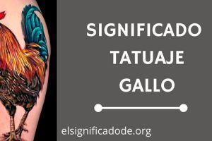 Significado Tatuaje Gallo