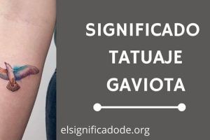 Significado Tatuaje Gaviotas