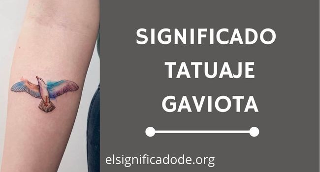 Qué significa el tatuaje de una gaviota