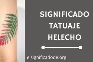 Significado Tatuaje de Helecho