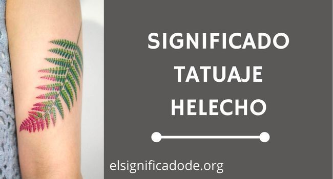 Que significa tatuaje hoja de helecho