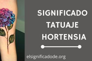Significado Tatuaje Hortensia