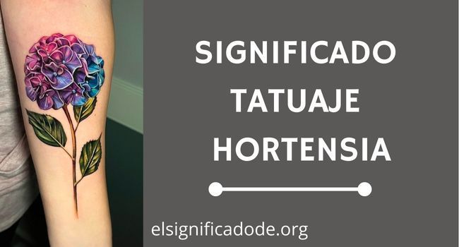 Qué significa tatuaje hortensia