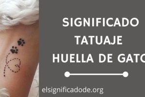 Significado Tatuaje Huella de Gato