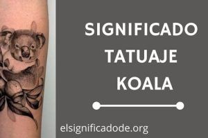 Significado Tatuaje Koala
