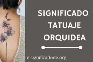 Significado Tatuaje Orquídea