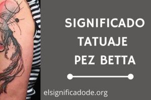 Significado Tatuaje Pez Betta