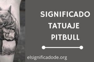Significado Tatuaje Pitbull