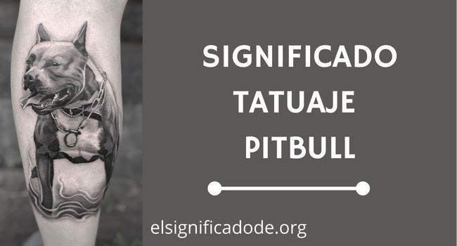 Que signfica el tatuaje de un pitbull