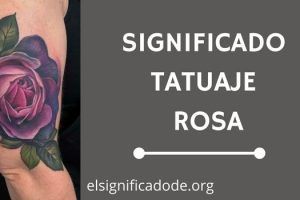 Significado Tatuaje Rosa