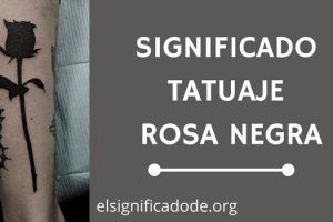 Significado Tatuaje Rosa Negra