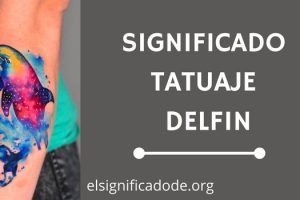 Significado Tatuaje Delfín