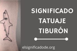 Significado Tatuaje Tiburón