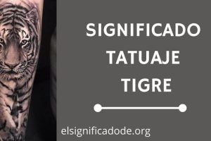 Significado Tatuaje Tigre