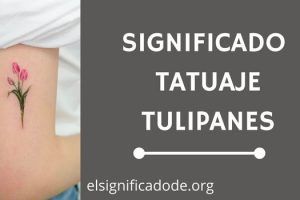 Significado Tatuaje Tulipanes