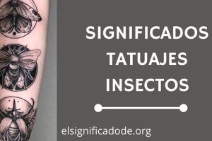 Significado Tatuajes de Insectos