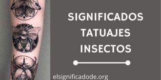 Significado Tatuajes de Insectos