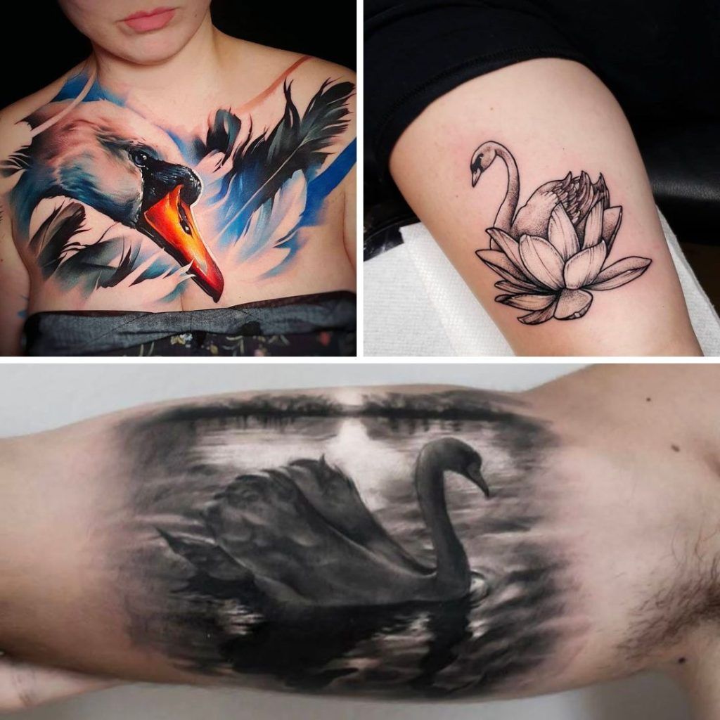 Tatuajes de cisne