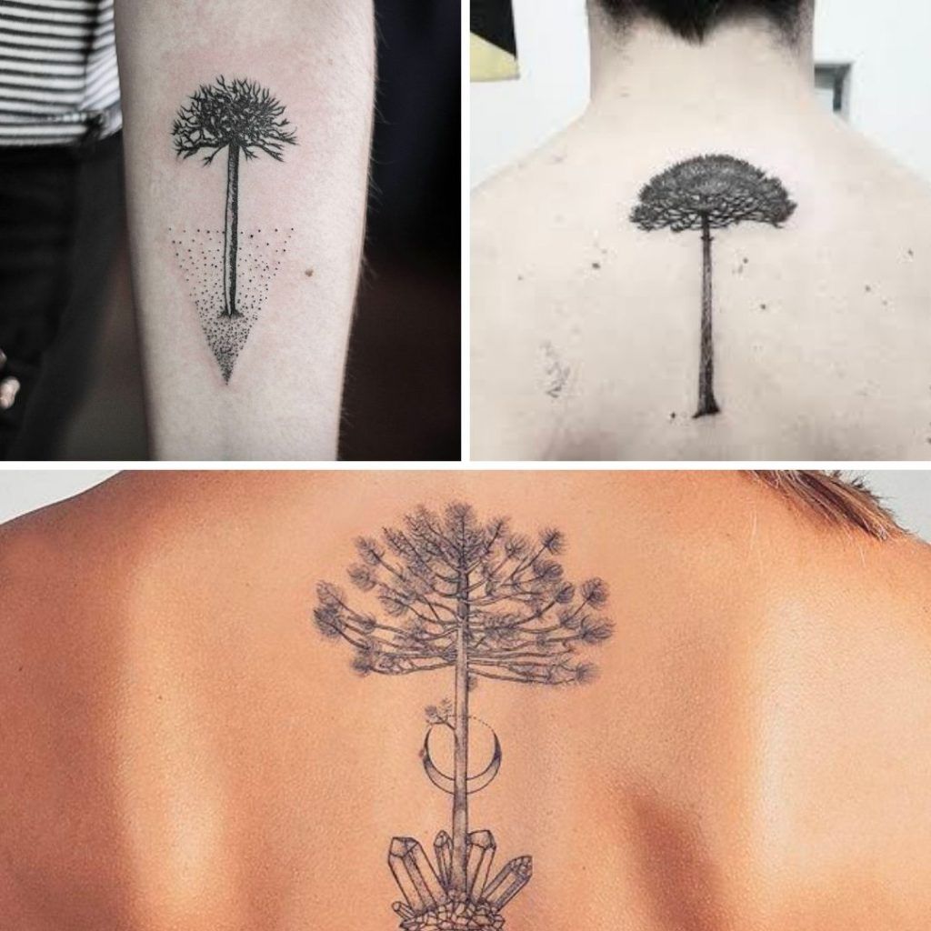 Tatuajes araucaria