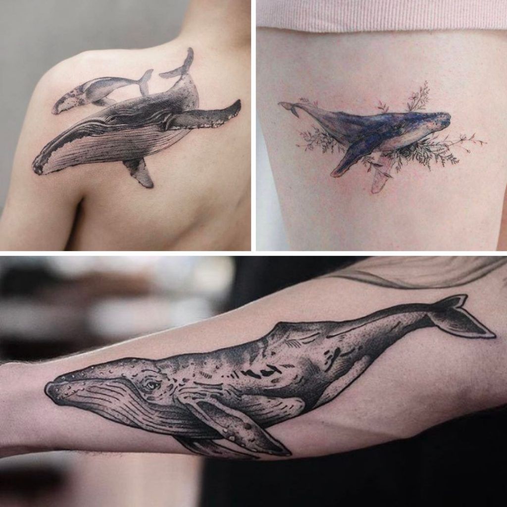 Tatuajes de Ballenas