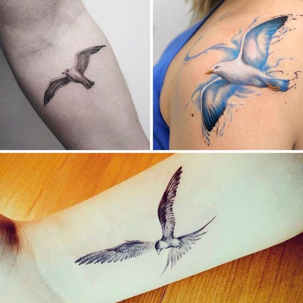 Tatuajes de Gaviotas
