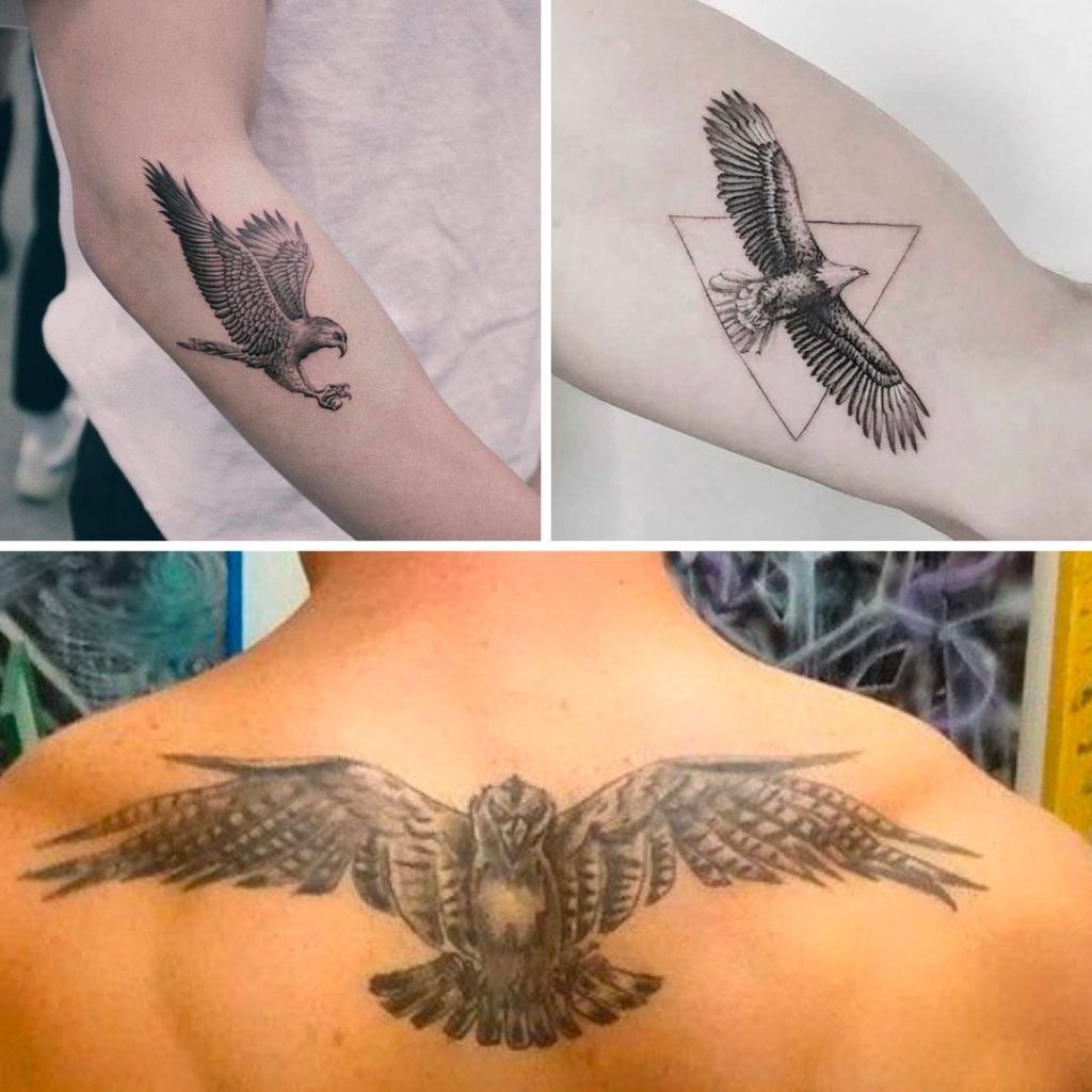 Tatuajes de Halcón