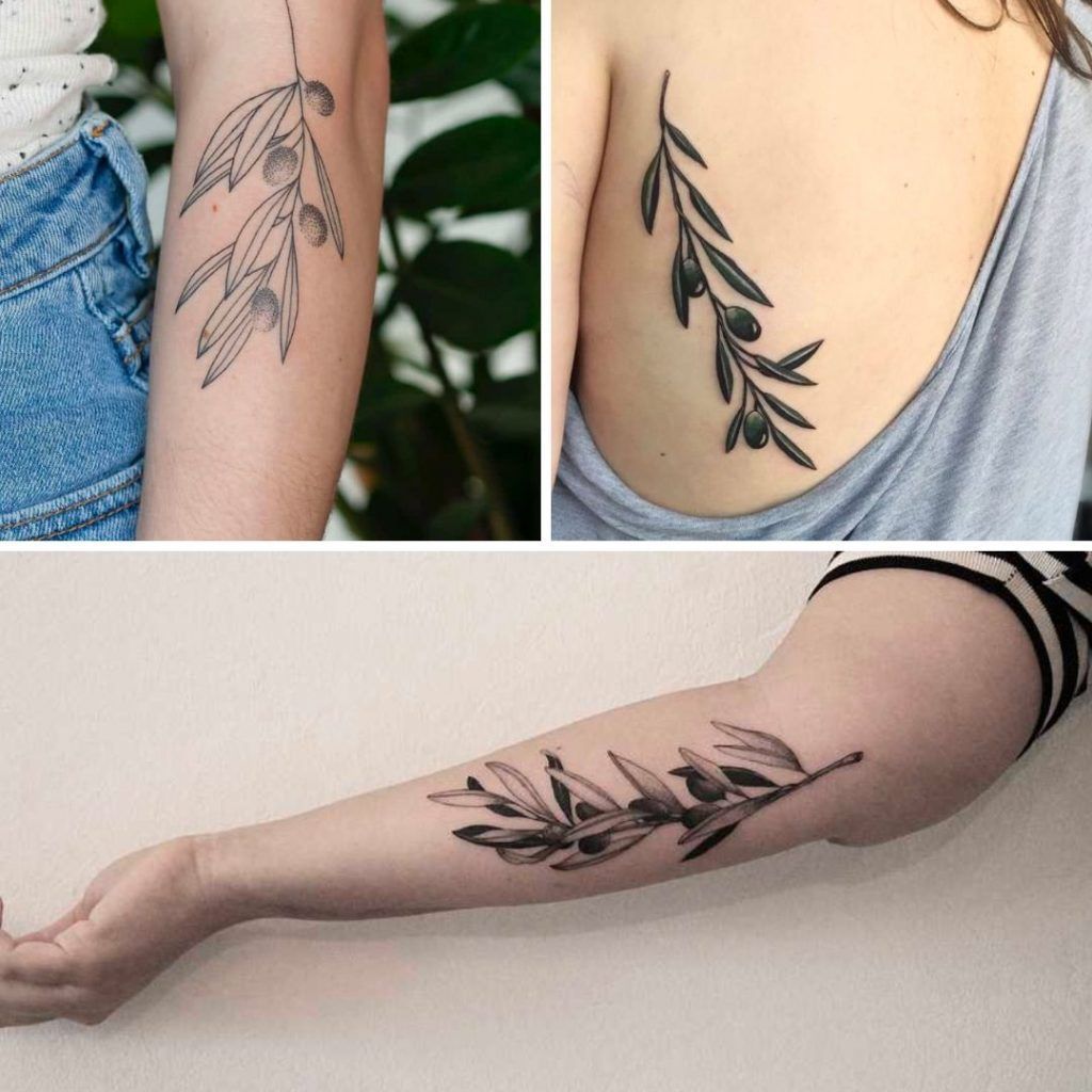 Tatuajes Hojas de Olivo