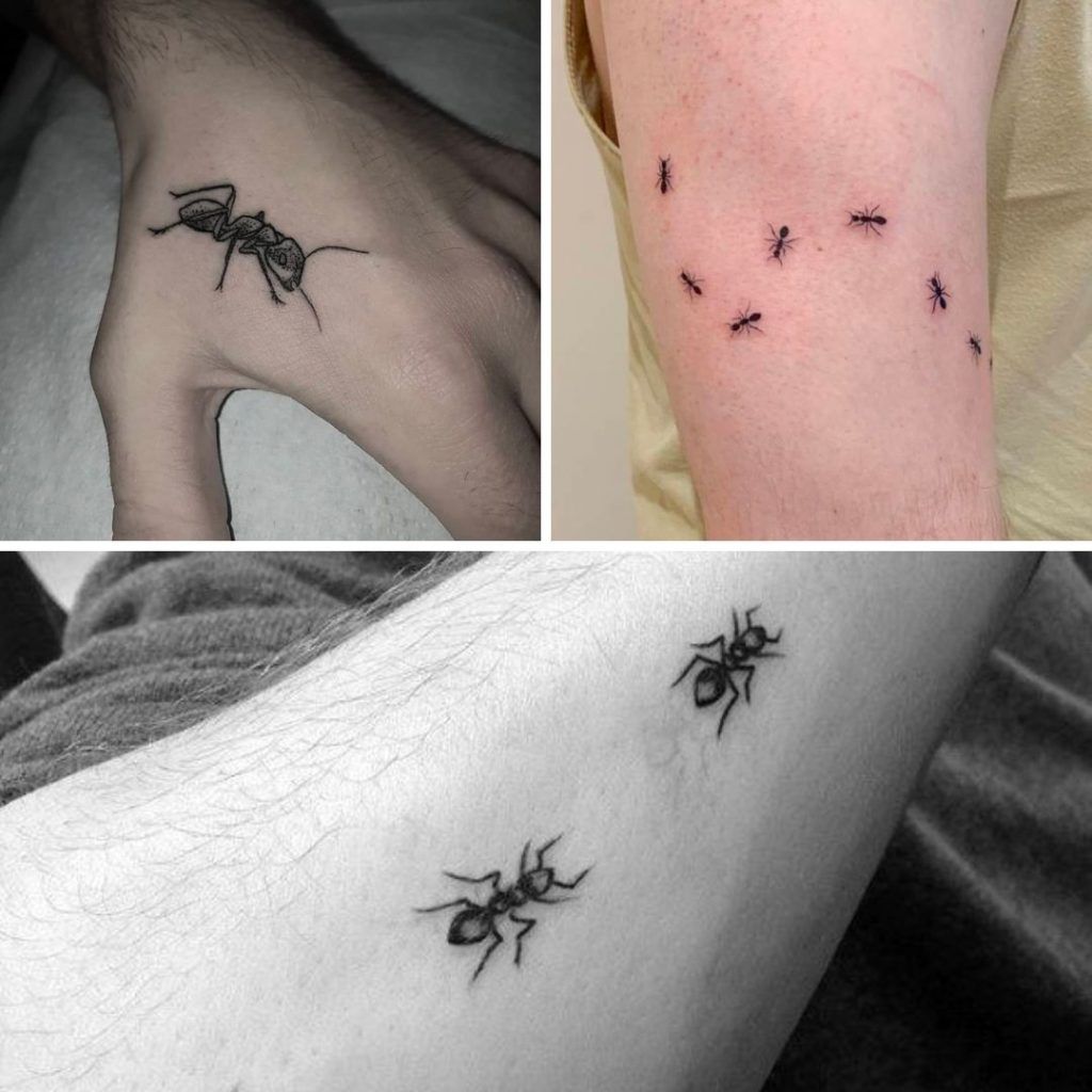 Tatuajes de hormigas