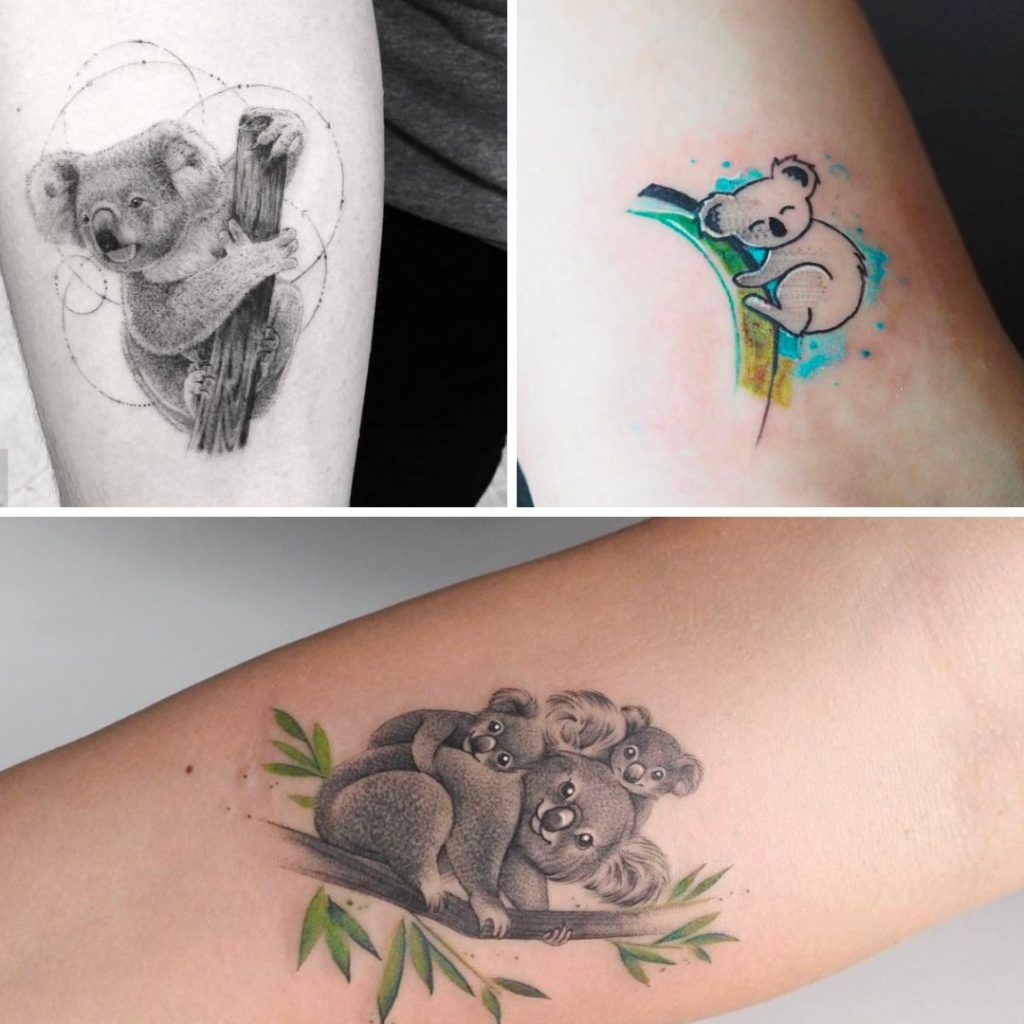 Tatuajes de Koalas