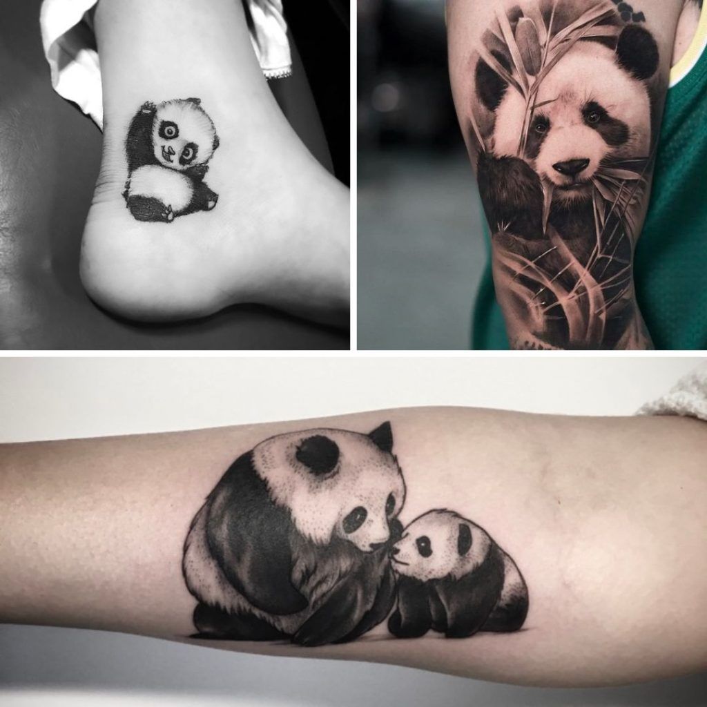 Tatuajes Oso Panda