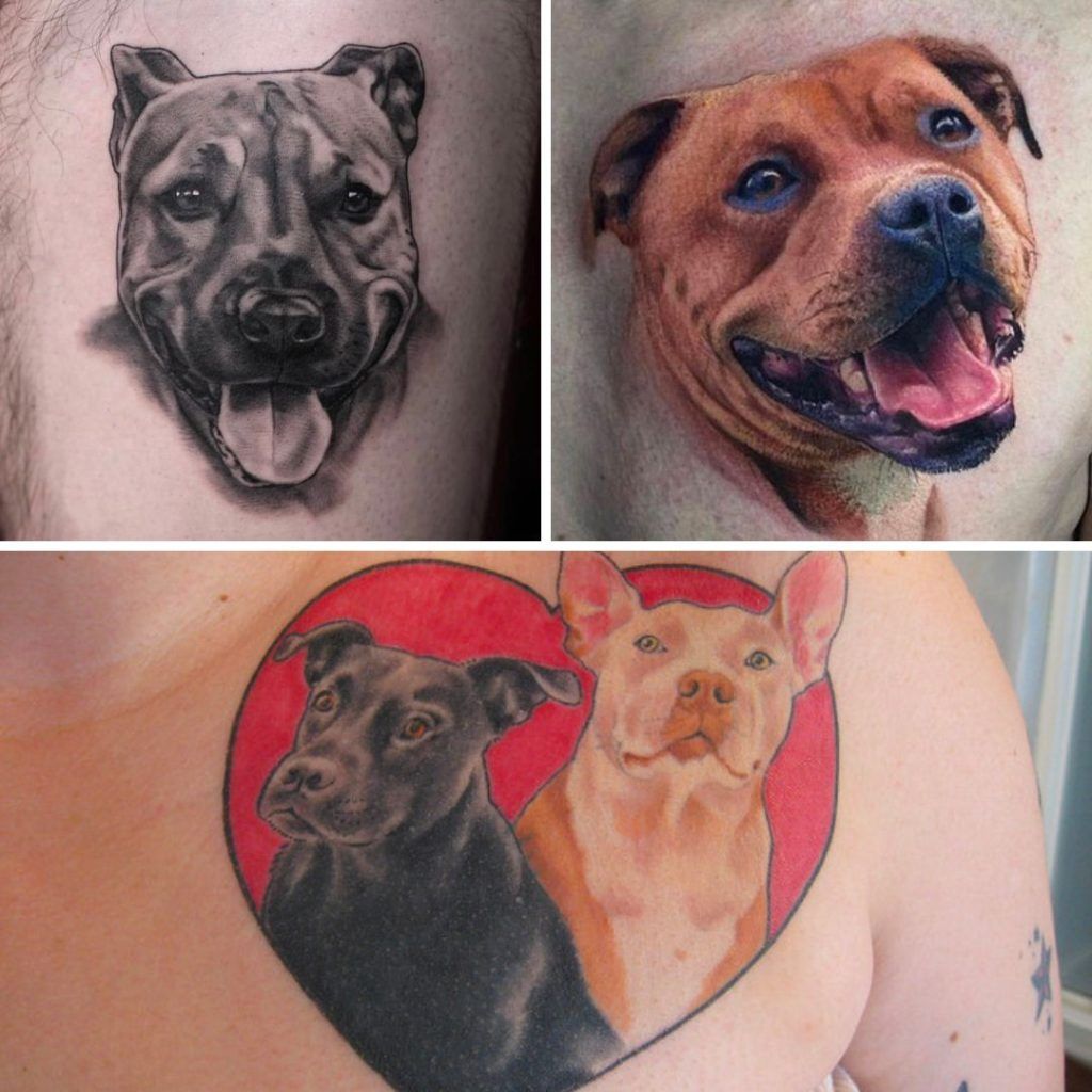 Ideas de tatuajes de pitbull