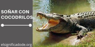 Significado de Soñar con Cocodrilos