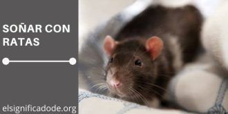 Significado de Soñar con Ratas