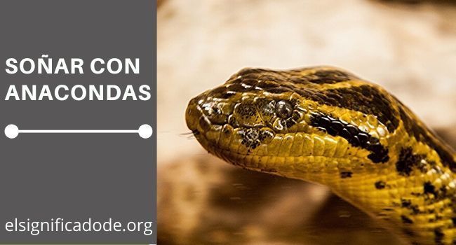soñar con anacondas