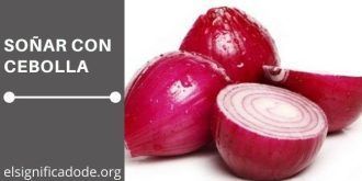 Significado de Soñar con Cebollas