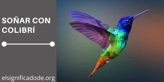 Significado de Soñar con Colibrí