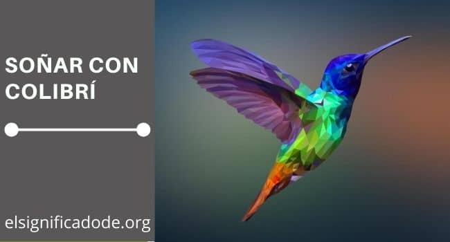 soñar con colibri