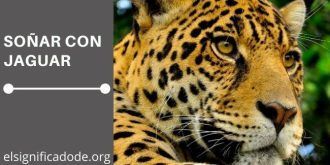 Significado de Soñar con Jaguar
