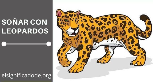 Significado de Soñar con Leopardos