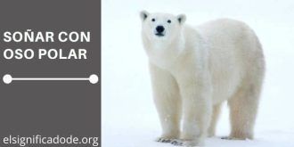 Significado de Soñar con Oso Polar